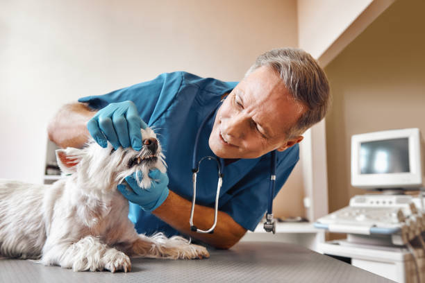 Best Emergency Tooth Extraction in San Benito, TX